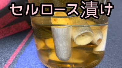 バルサ×削ってポッパー×メッキ用ア(=ﾟωﾟ)ﾉ