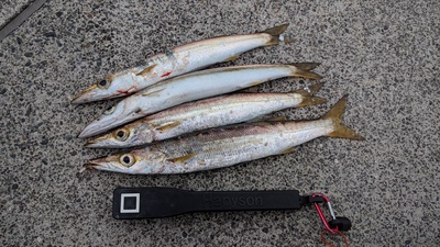 カマす！×４マス×裏方釣査w