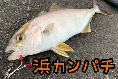仕事前！×平日×ONEぱち！(￣^￣)b