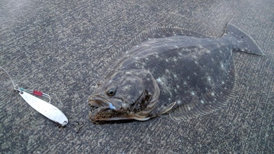 青物は任せた！×続×裏釣査！