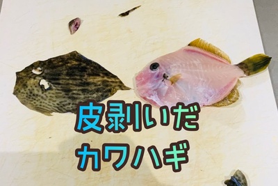 カワハギ❗️×むいちゃいました×はぎ皮(=´∀｀)