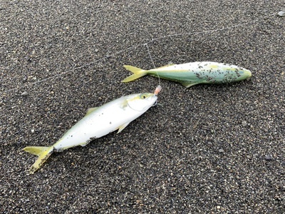ひと工夫×ダブルヒット！×釣果倍増！(● ˃̶͈̀ロ˂̶͈́)੭ꠥ⁾⁾