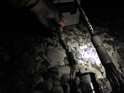 夜サビキ×ギガアジ狙い×甘くないﾈ(*´ω｀)
