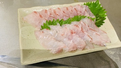 オオニベ×ウロコ引き❗️×チャレンジ(´∀｀)