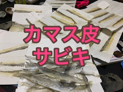 サビキ作り×カマス皮×大量に干した( *´艸｀)