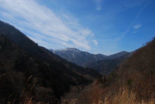 雲早山1495.9m
