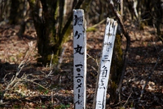 旭ヶ丸　△1019，6M　～　高鉾山　P984M 2017/04/15 19:40:26