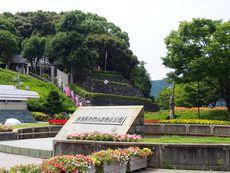 ニャンコのいる　王子神社 2017/07/08 21:33:40