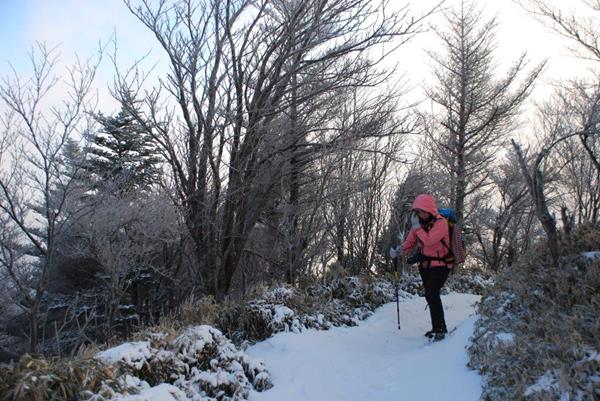 新雪の剣山