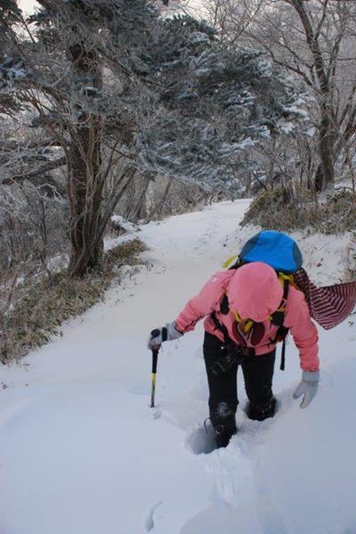新雪の剣山