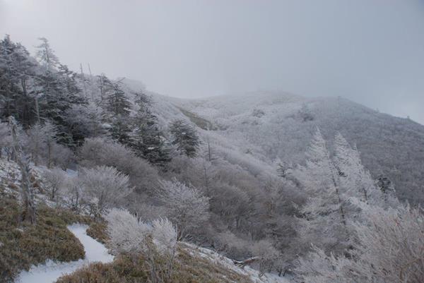新雪の剣山