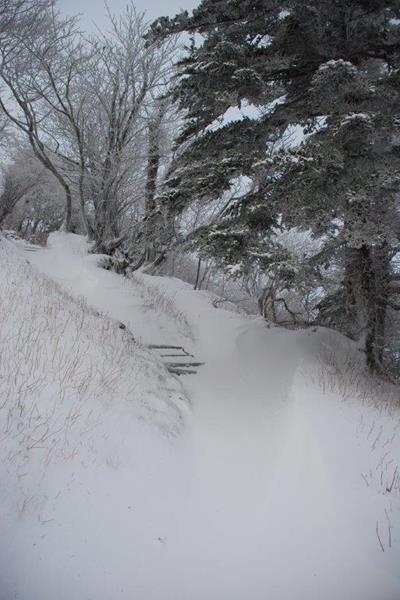 新雪の剣山