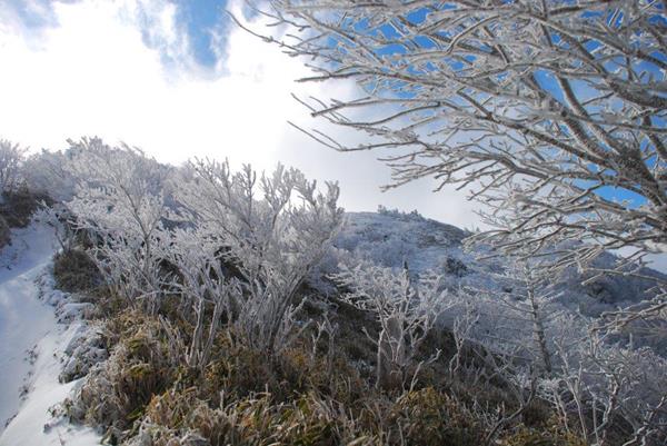 新雪の剣山