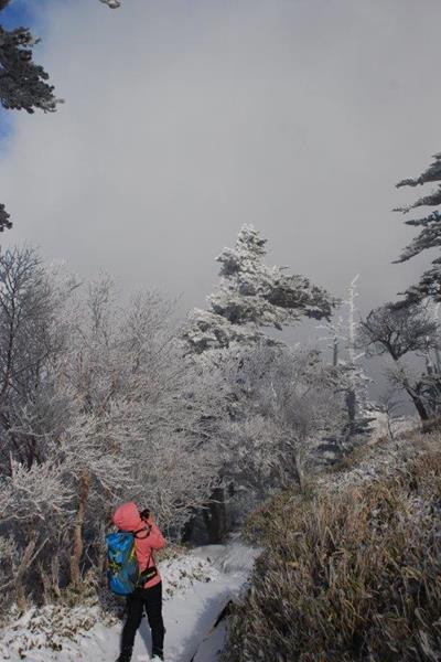 新雪の剣山