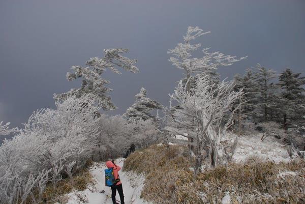 新雪の剣山