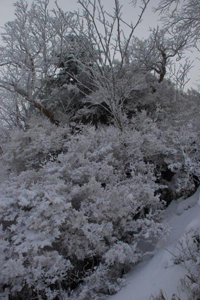 新雪の剣山