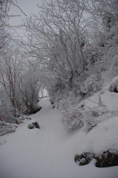 新雪の剣山