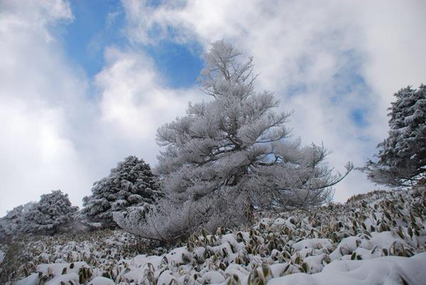 新雪の剣山