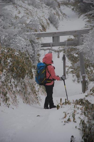 新雪の剣山