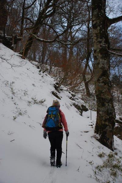 新雪の剣山