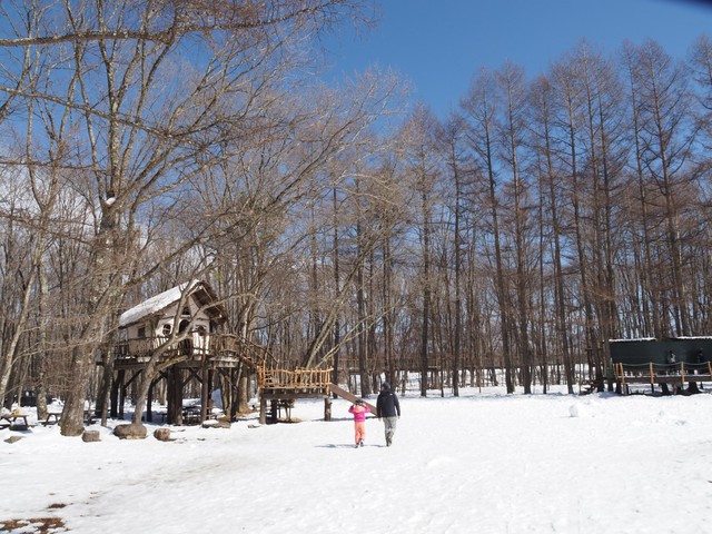 雪景色の贅沢キャビンステイ。北軽井沢スィートグラス