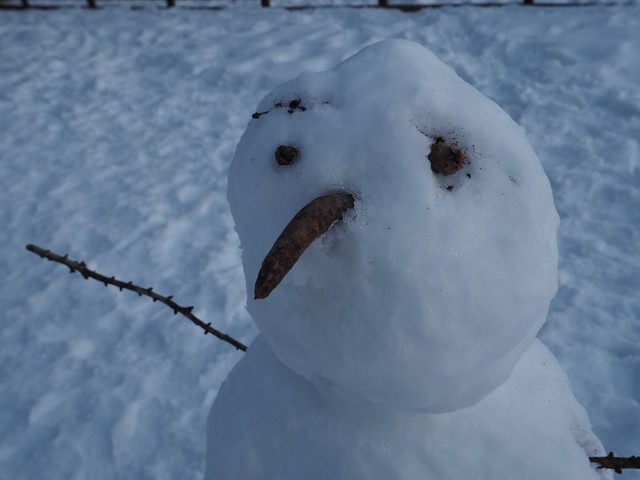 雪景色の贅沢キャビンステイ。北軽井沢スィートグラス