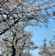 準備だよ～ん。