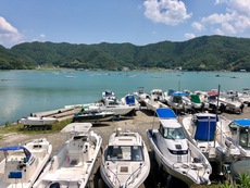 船舶検査だ。