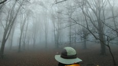 久しぶりの登山ですよ