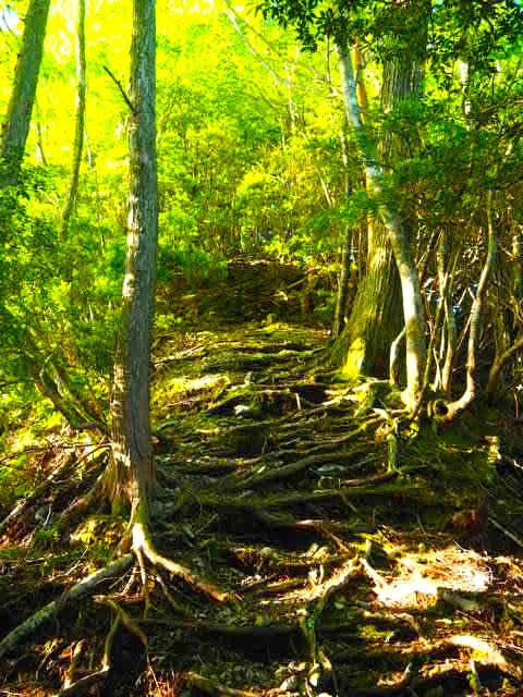 まつさか香肌１１　ラストの栗ノ木岳と修験業山