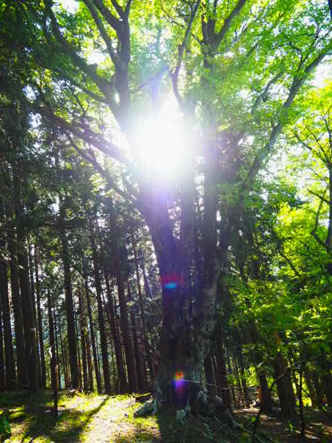 まつさか香肌１１　ラストの栗ノ木岳と修験業山