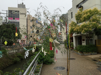 雨だけど、、、祭り！