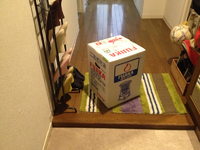 届いた！