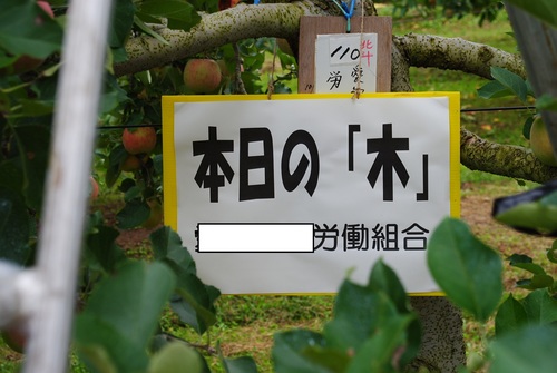 リンゴ狩り！