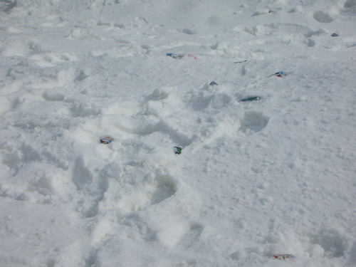 ホワイトピアたかすDE雪遊び～！