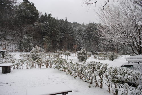 グリムDE雪遊び！