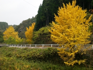 退社後キャンプ
