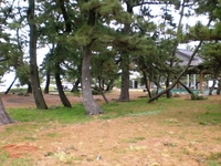 唐津～加部島巡り