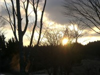 新年、明けましておめでとうございます。 2013/01/01 00:00:00