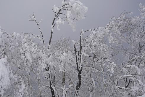 初じめての雪山登山　室蘭岳