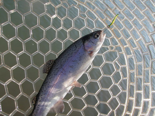 「北方ます釣り場」ラスト釣行   その１
