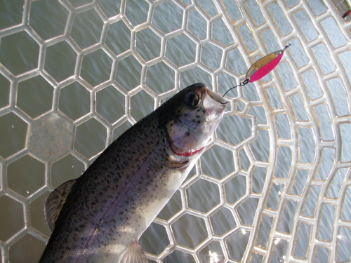 「北方ます釣り場」ラスト釣行   その１