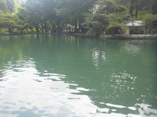 「醒ヶ井養鱒場」大会後でいいはずですが ・・・ その１