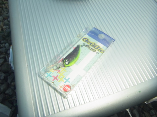 「サンクチュアリ」　 サンクフェスタ　  その２