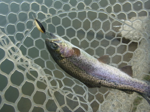 「北方ます釣り場」いいんじゃない！？　その２