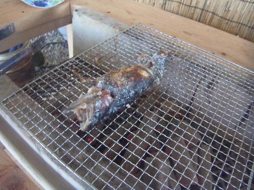 「高鷲FP」今年初釣行　プロローグ