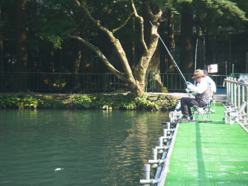 「醒ヶ井養鱒場」大会後でいいはずですが・・・最終話