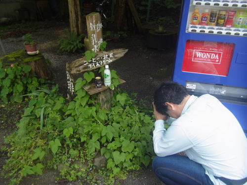 「醒ヶ井養鱒場」大雨の後   その３