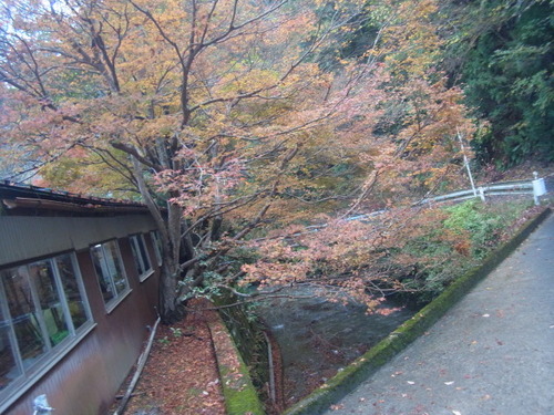 「醒ヶ井養鱒場」　 紅葉ます祭り 　 その２