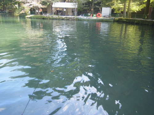 「醒ヶ井養鱒場」 残暑厳しい１日 その２